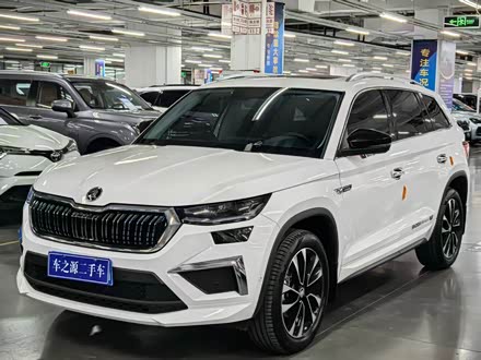 ��������˹�´� �µ��ǿ� 2024�� TSI330 7������������