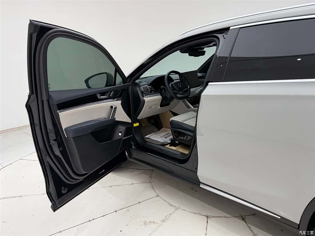 BYD Tang, 2023 13