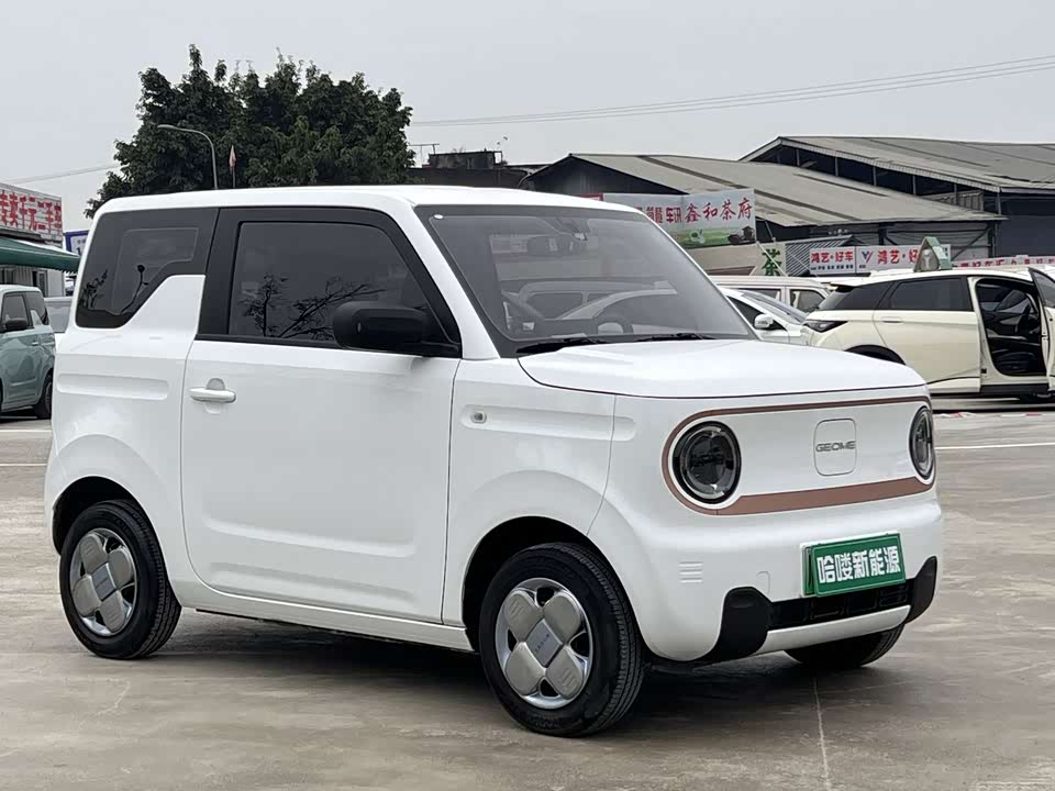 Geely Galaxy panda