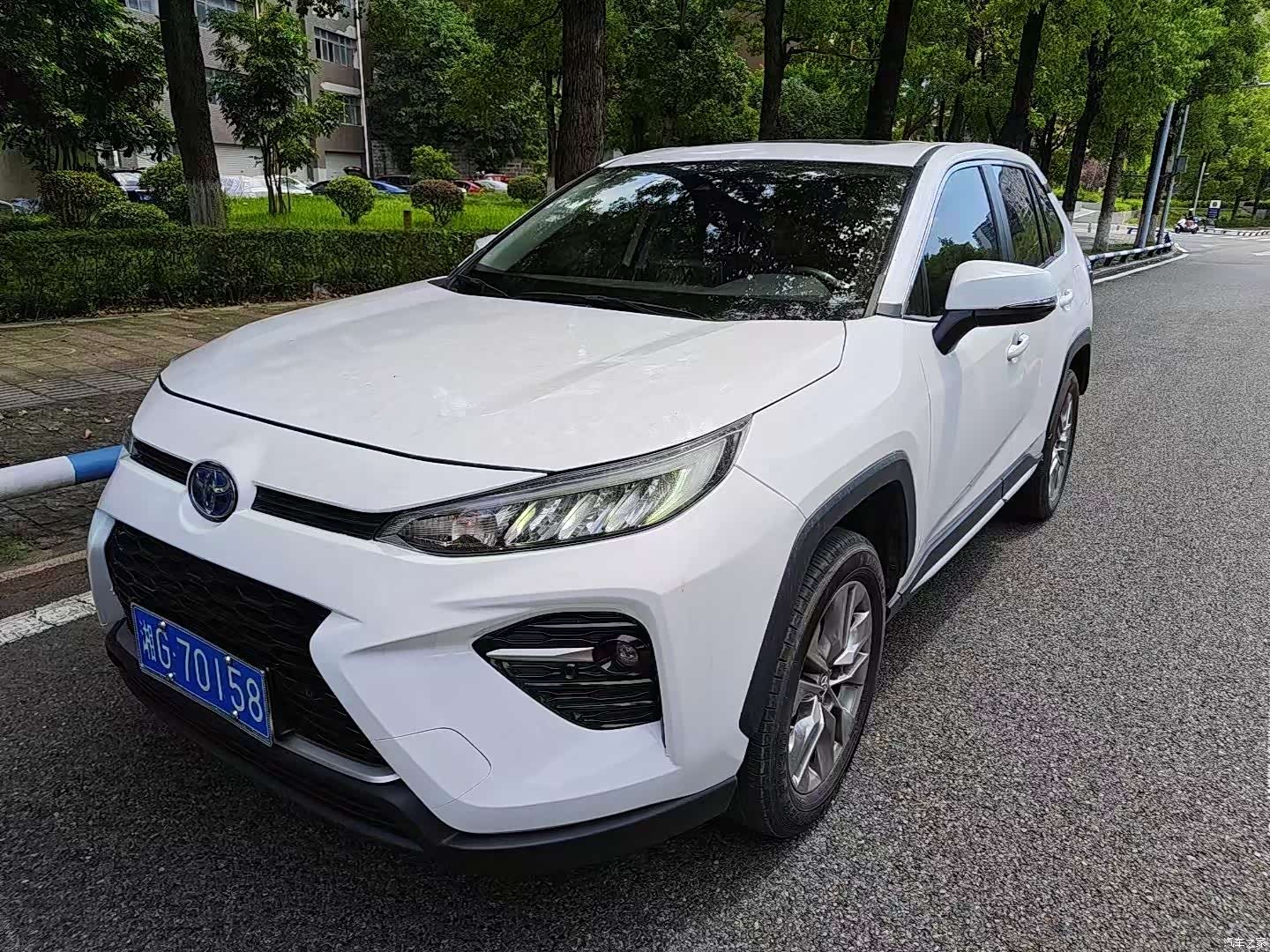 Toyota Wildlander, 2022 1