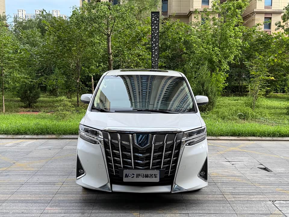 Toyota Elfa