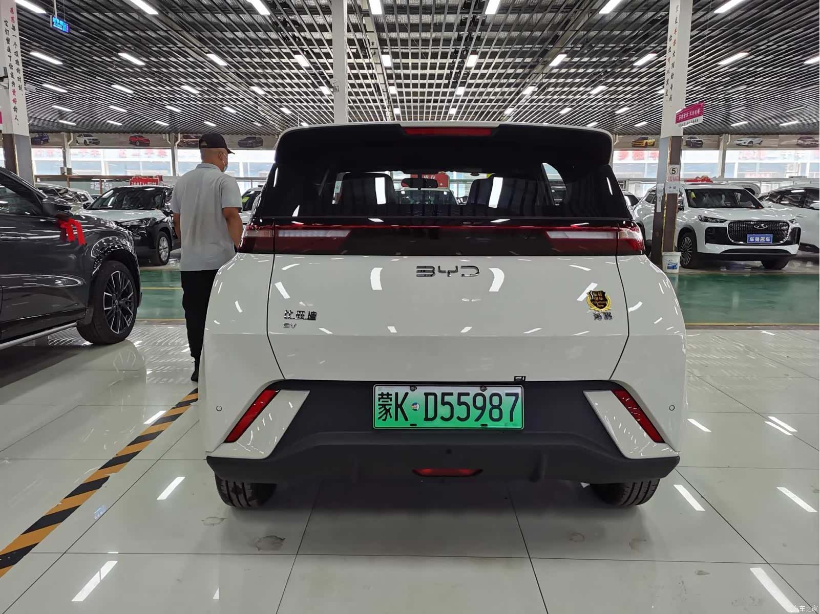 BYD Seagull, 2026 3