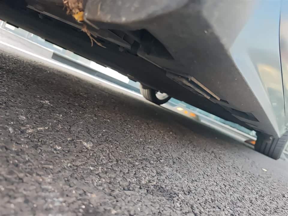 ARCFOX Polar Fox Alpha S