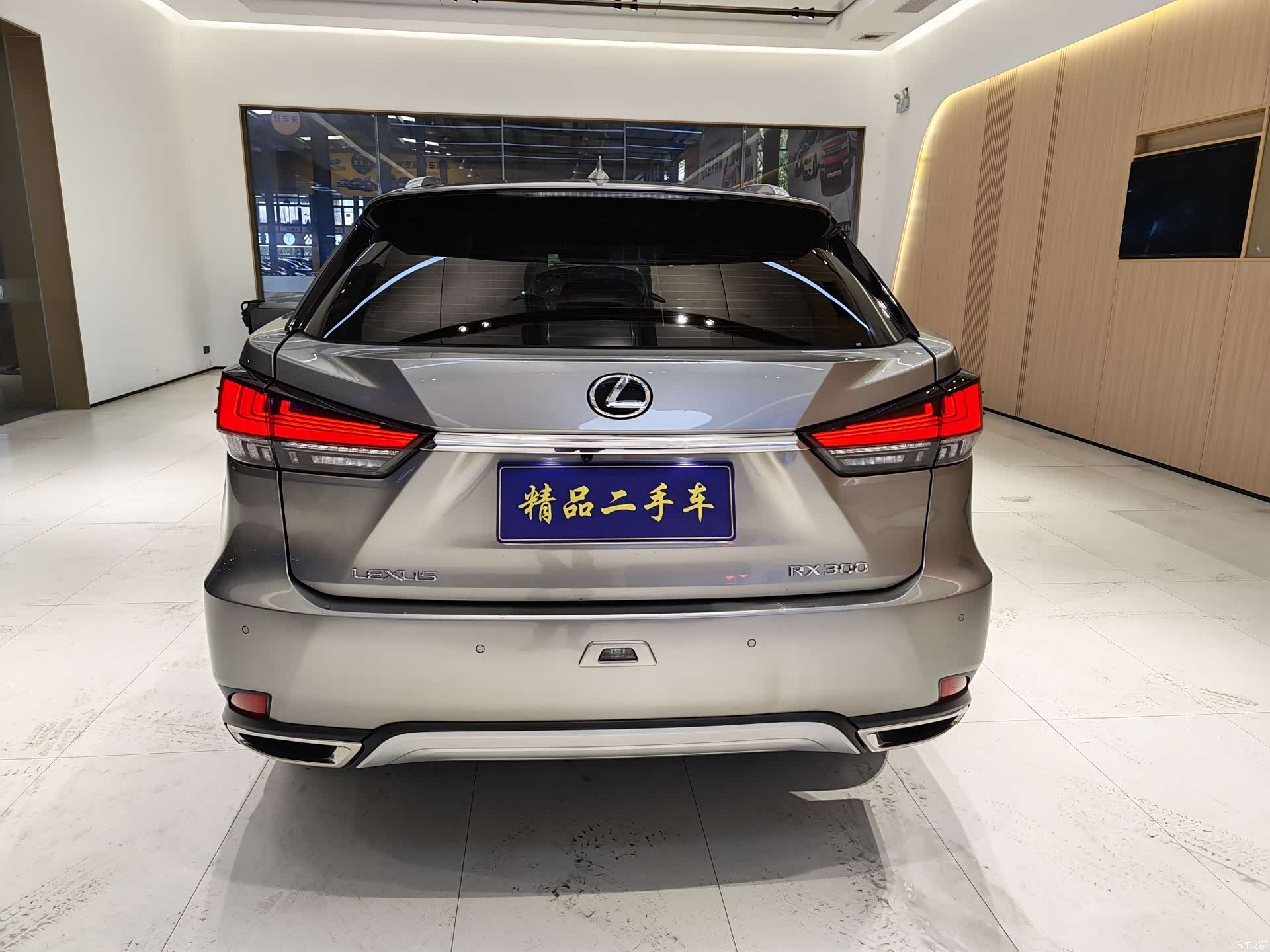 Lexus RX, 2021 6