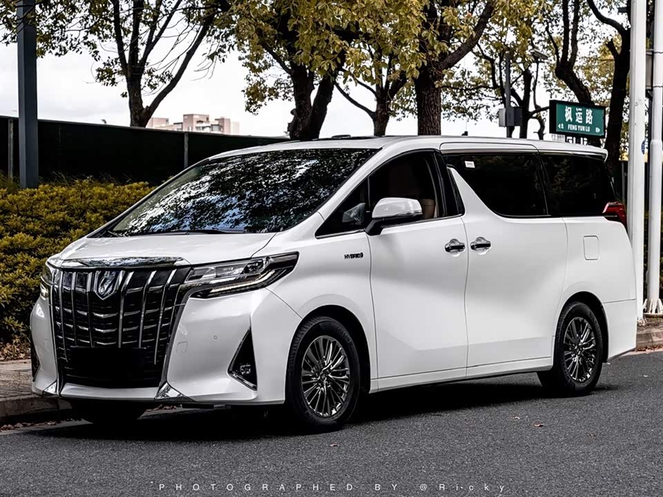 Toyota Elfa