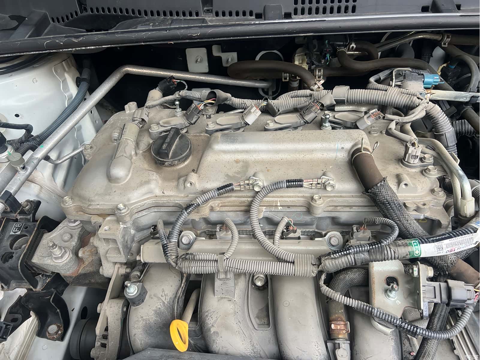Toyota Levin, 2016 12