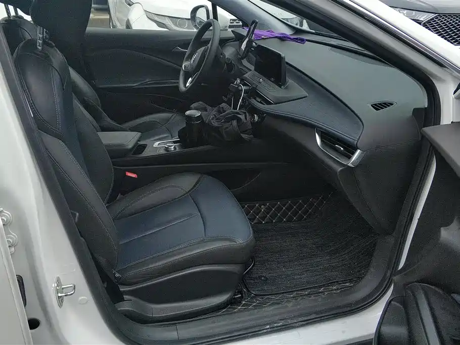 Buick Slightly blue 6