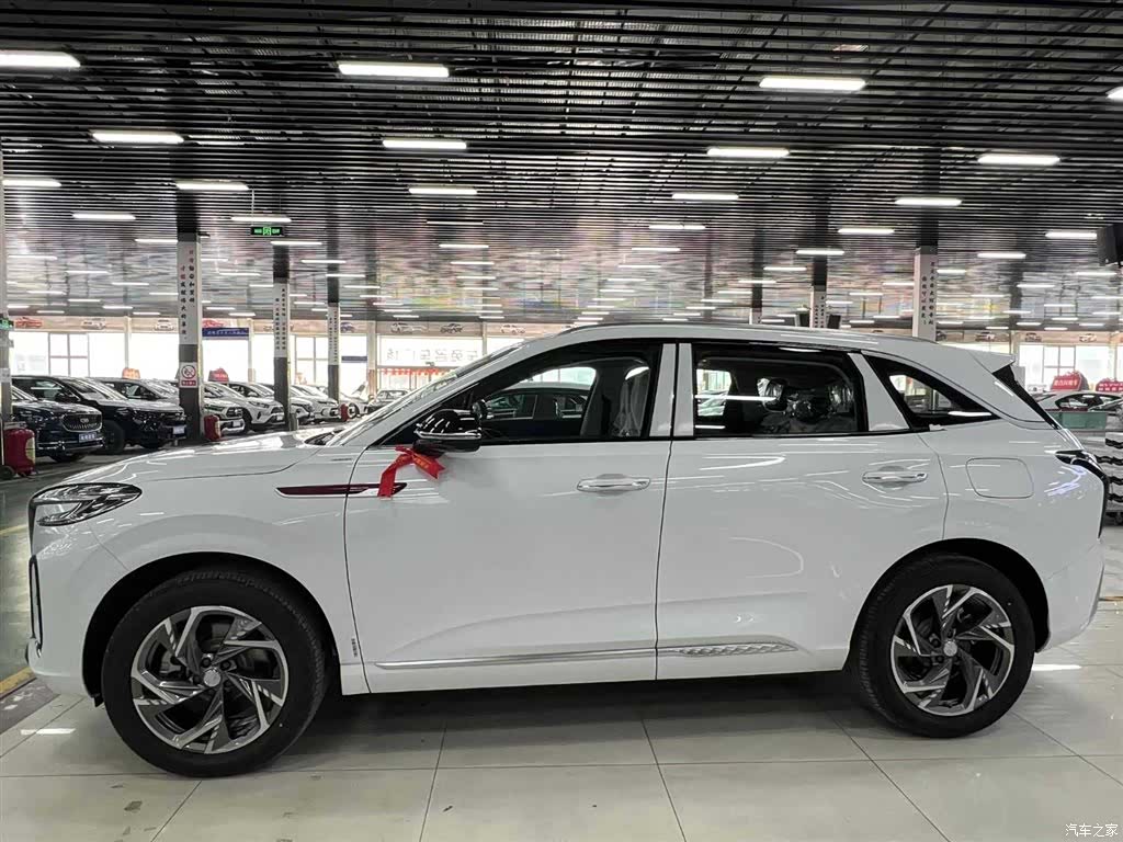 Hongqi HS3, 2024 3