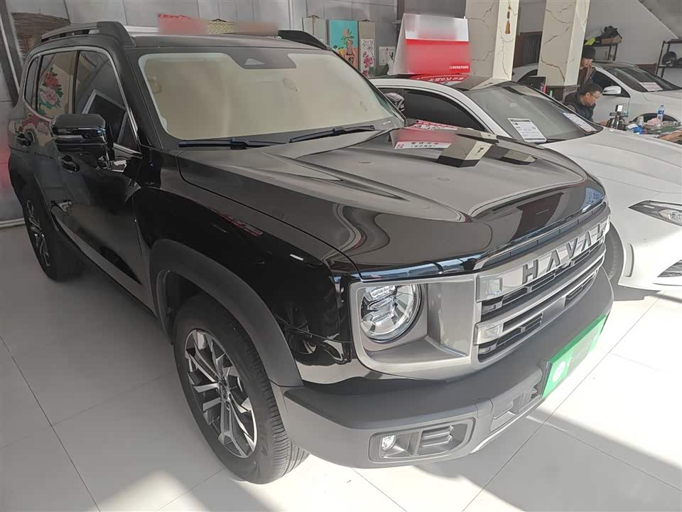 Haval Big dog