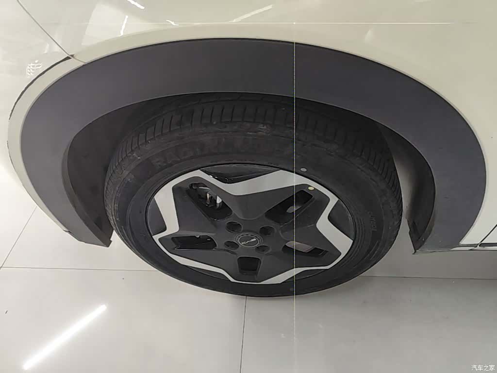 BYD Dolphin, 2022 23