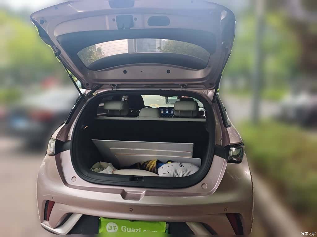 BYD Dolphin, 2022 10