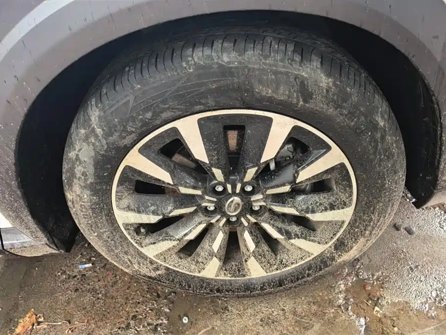 Trumpchi Shadow cool