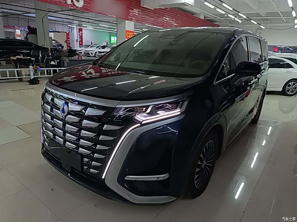 Denza D9, 2023 2