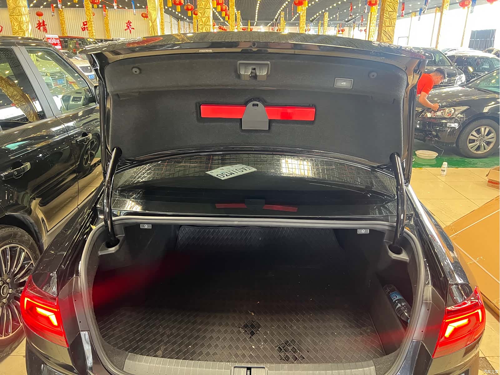 Volkswagen Magotan, 2024 11