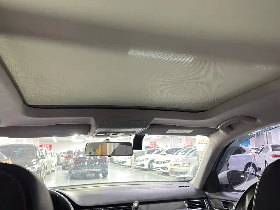 Volkswagen C-TREK Wei Collar