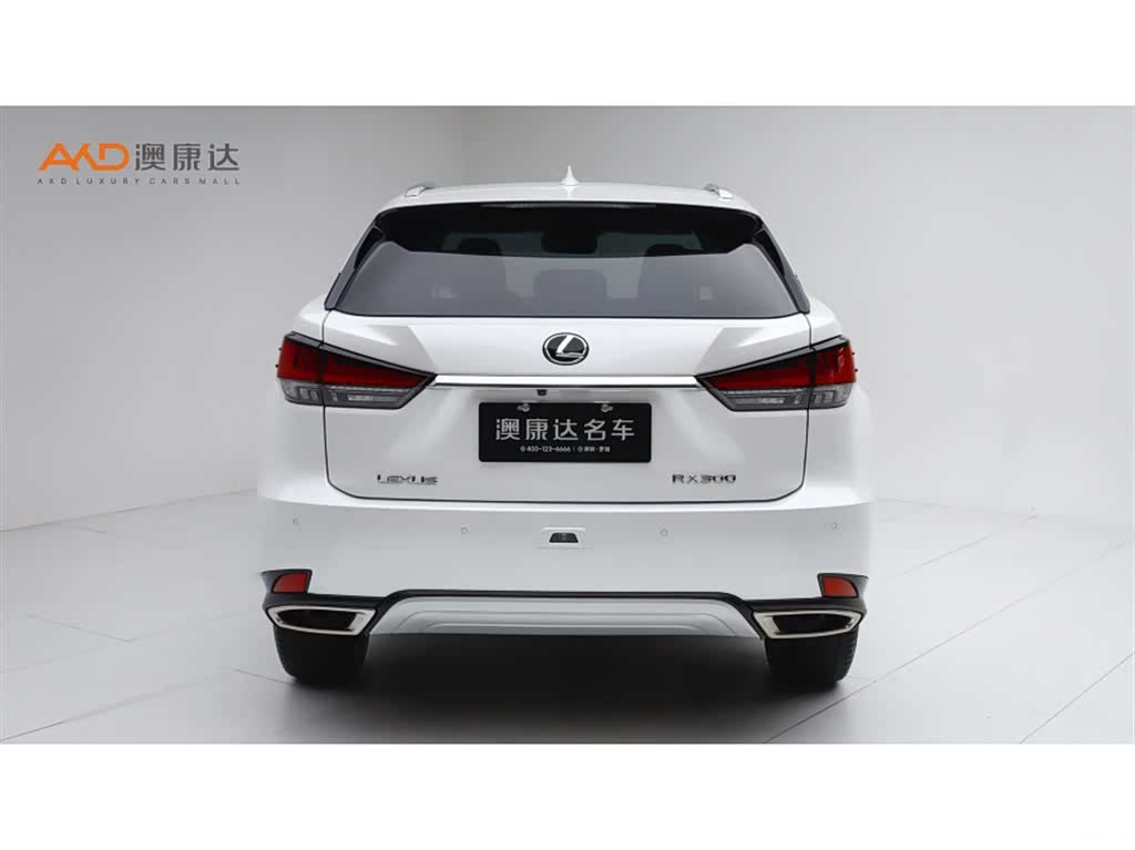 Lexus RX, 2022 4