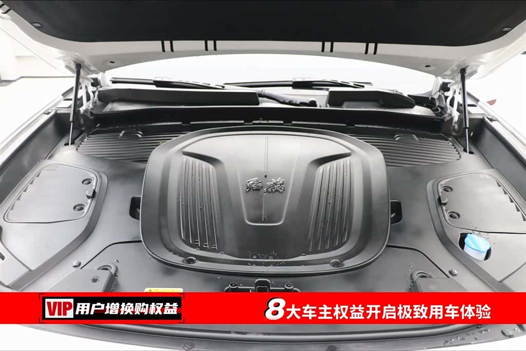 Hongqi E-HS9, 2023 7