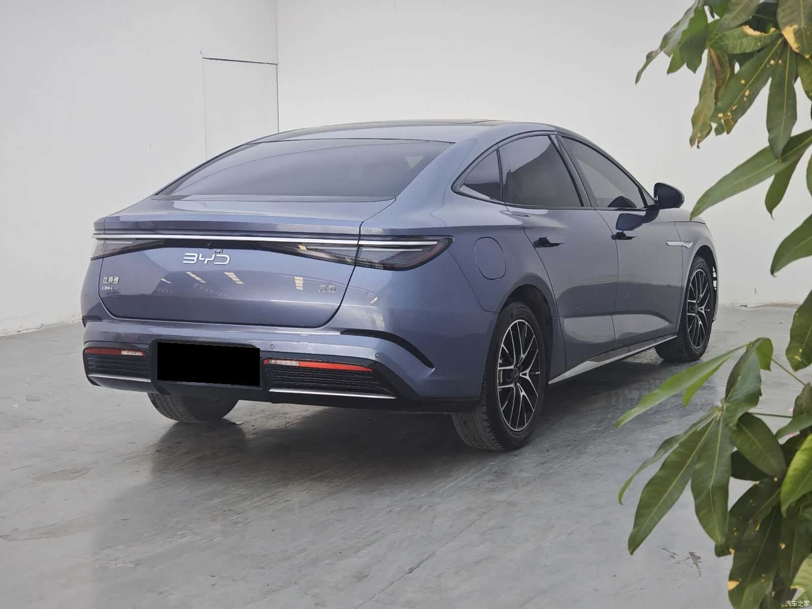 BYD Seal, 2024 все фото
