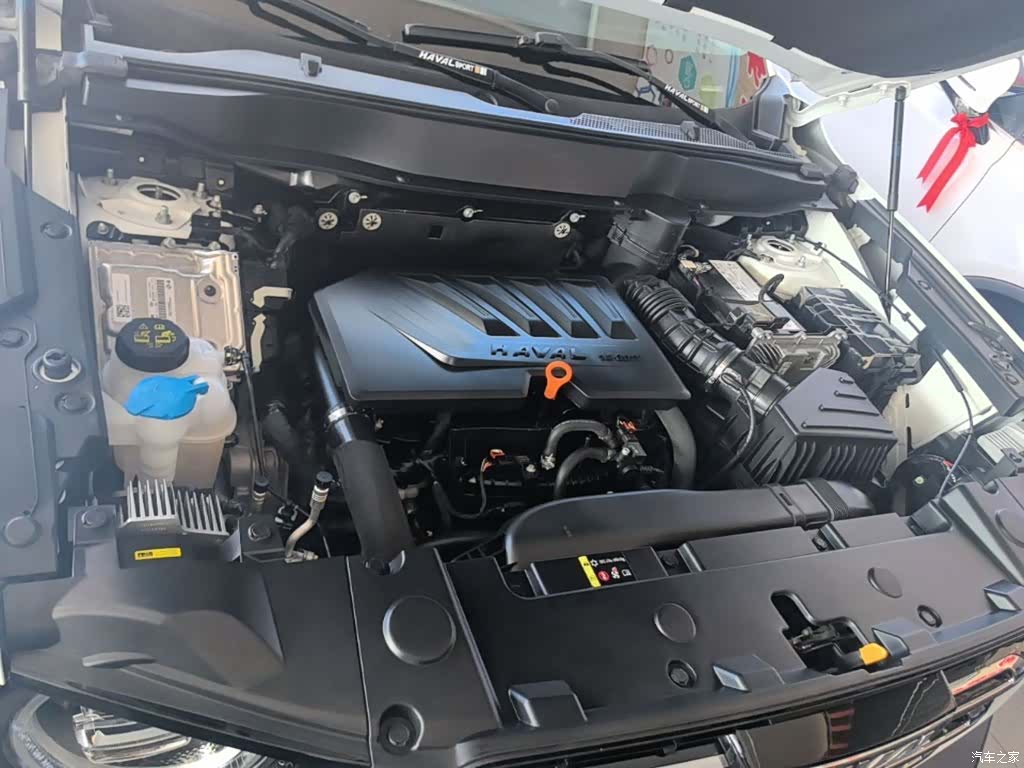 Haval Big Dog, 2021 20