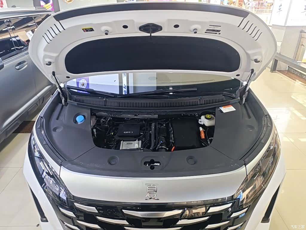 BYD Xia, 2025 17