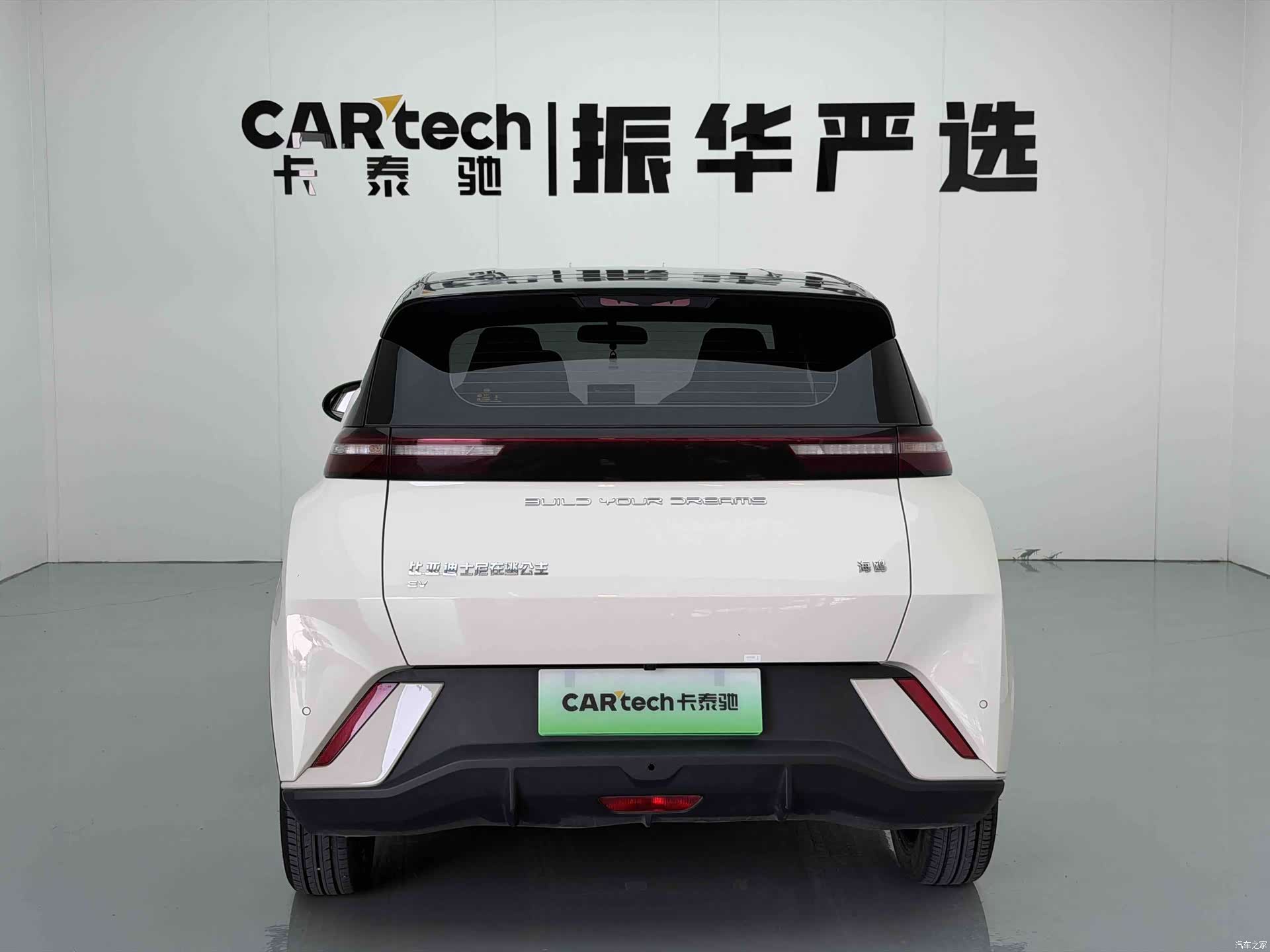 BYD Seagull, 2024 9