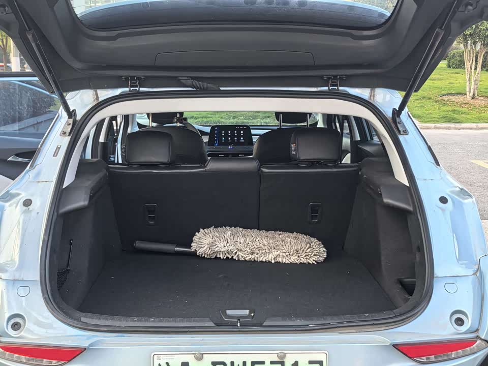 Buick Slightly blue 6