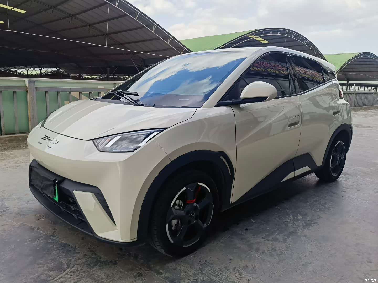 BYD Seagull, 2024 1
