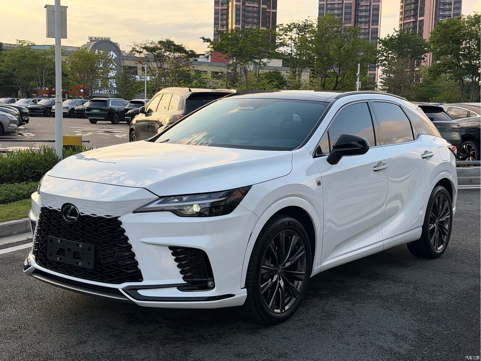 Lexus RX, 2023 1