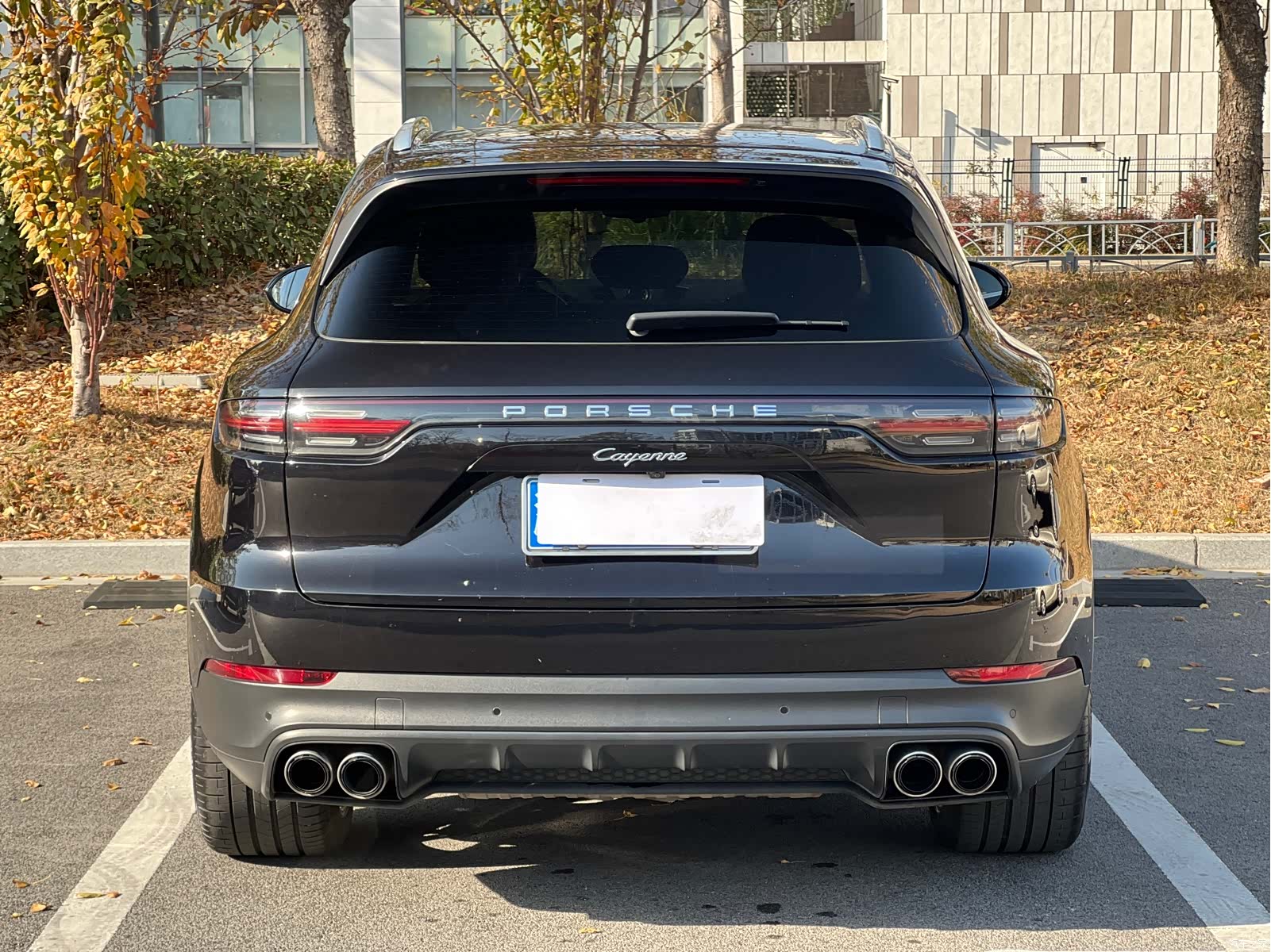 Porsche Cayenne, 2022 все фото