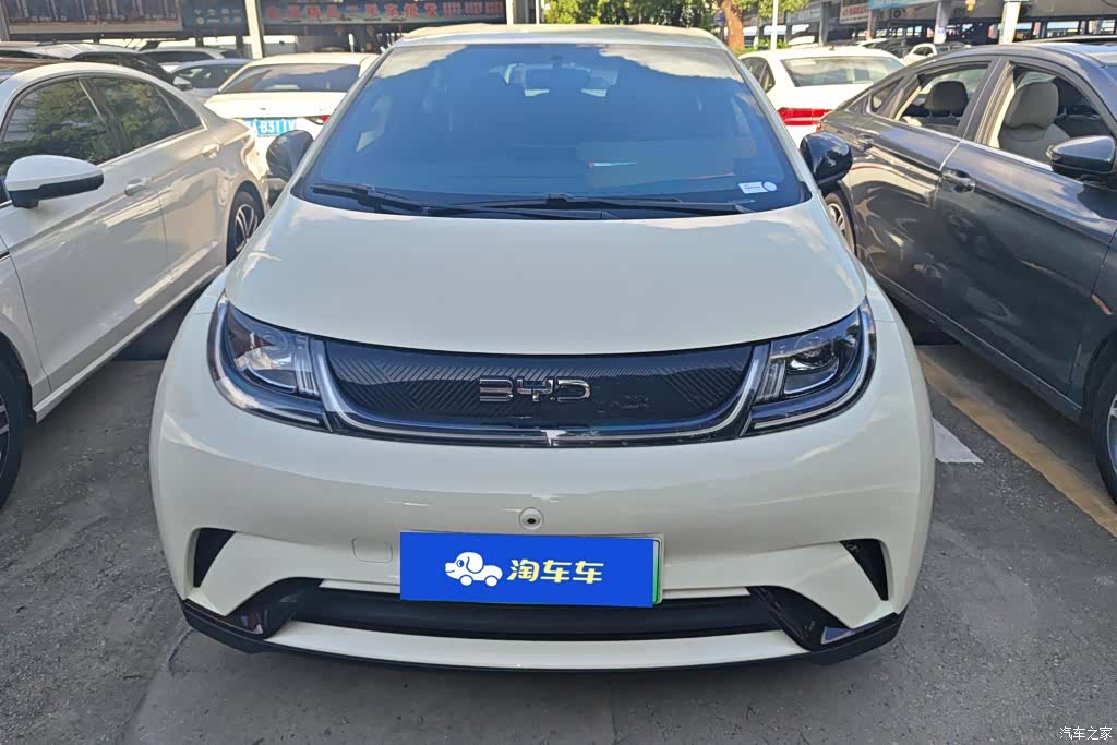 BYD Dolphin, 2024 2
