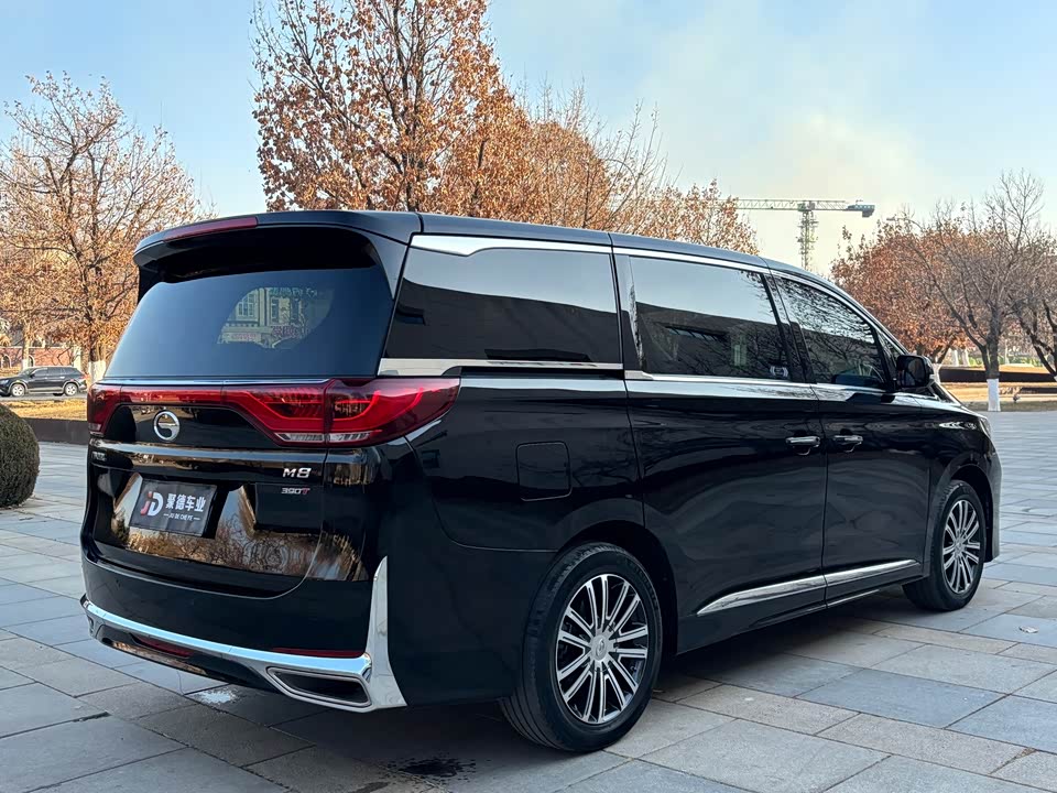 Trumpchi Trumpchi M8