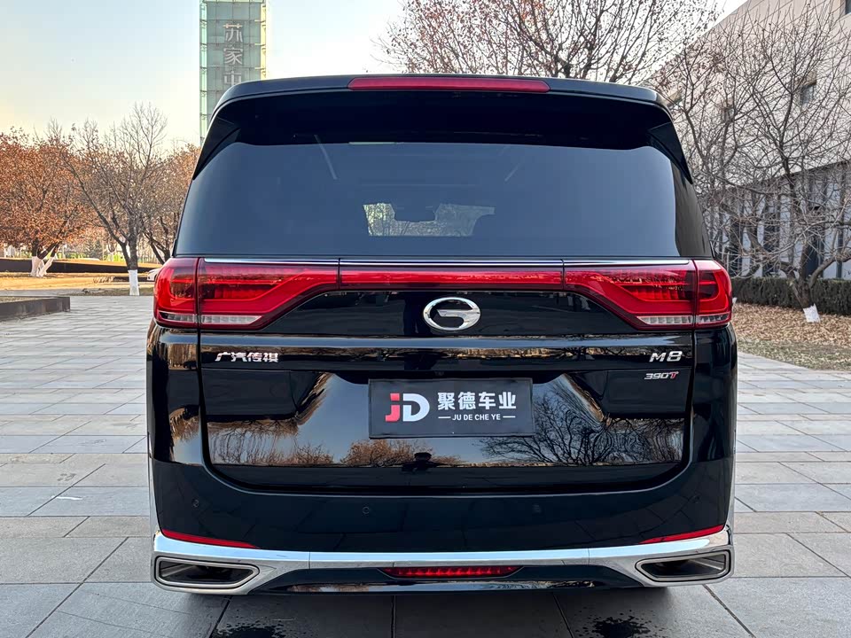 Trumpchi Trumpchi M8