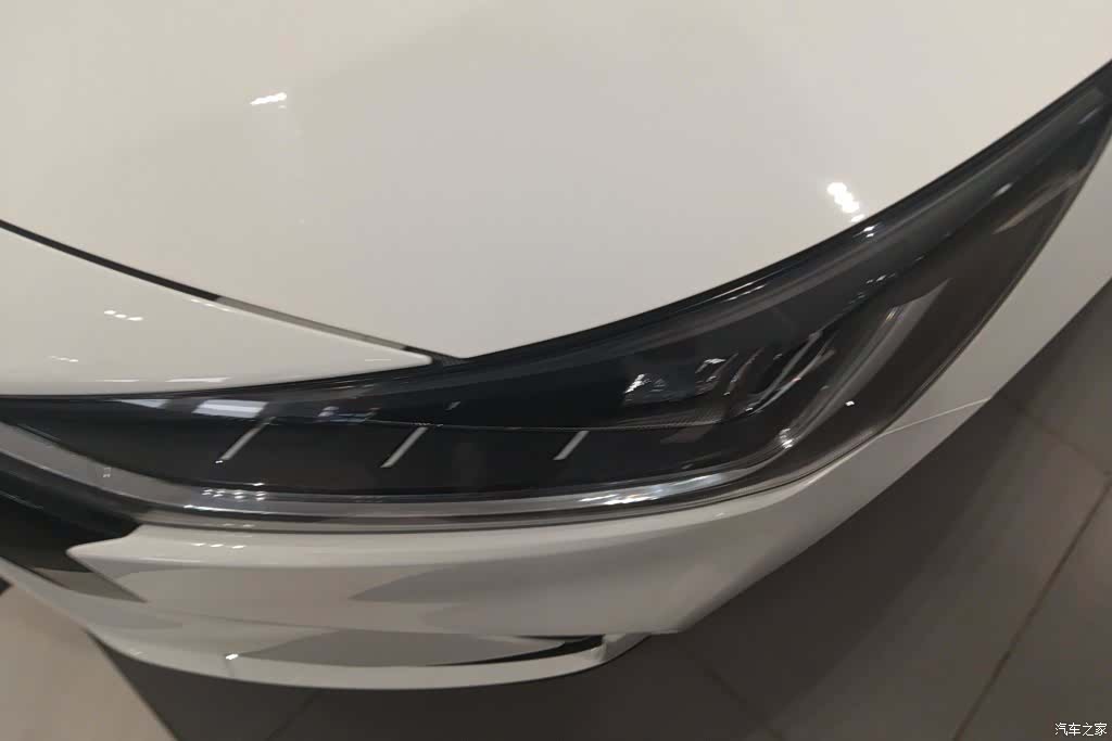 Ford Focus, 2023 все фото