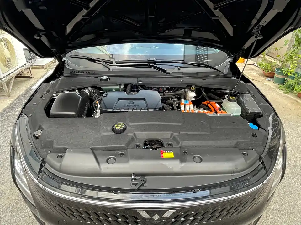 Wuling Wuling Starlight