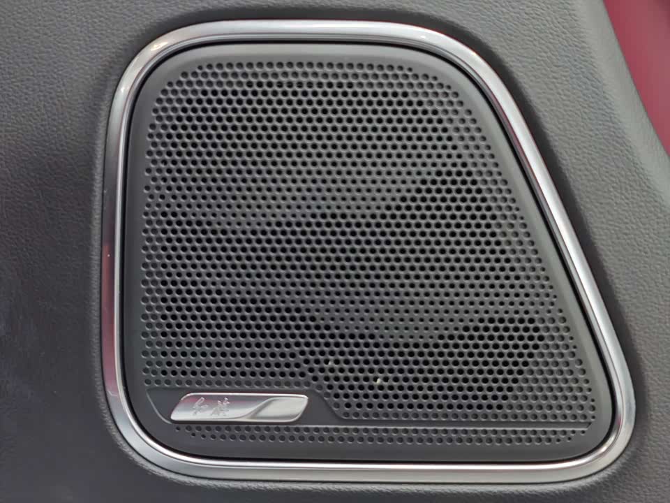 Hongqi E-HS9