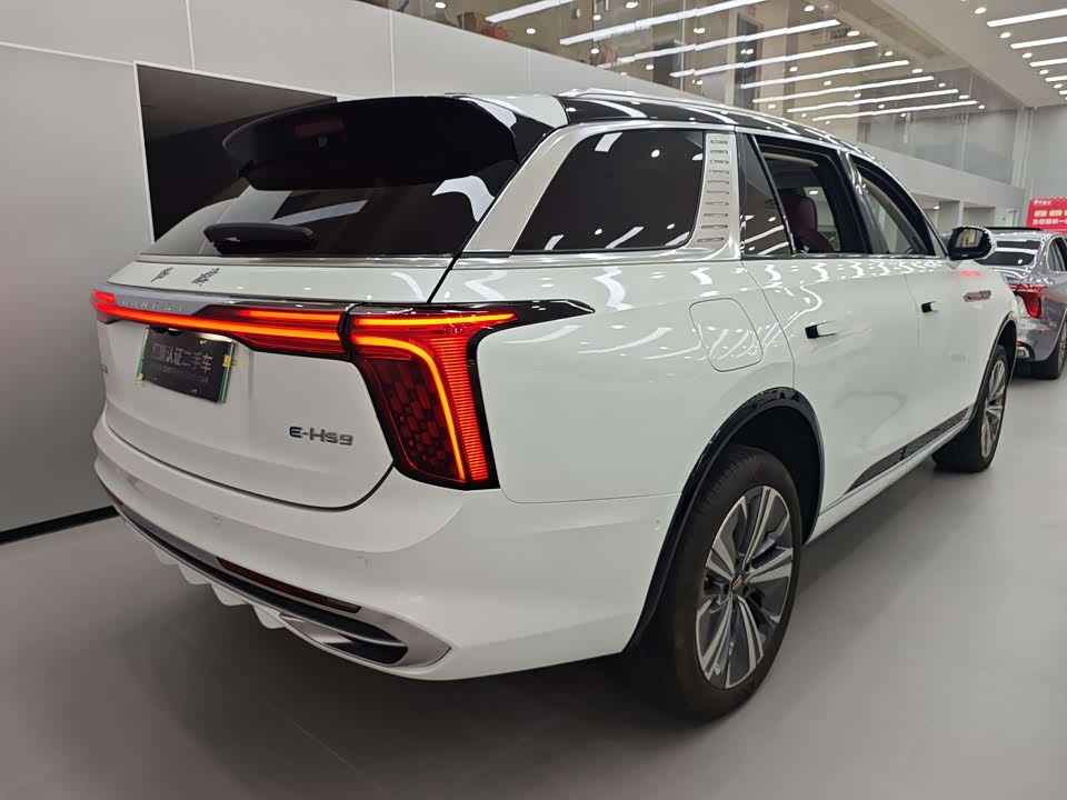 Hongqi E-HS9