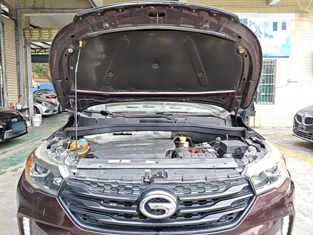 GAC GS4, 2016 20