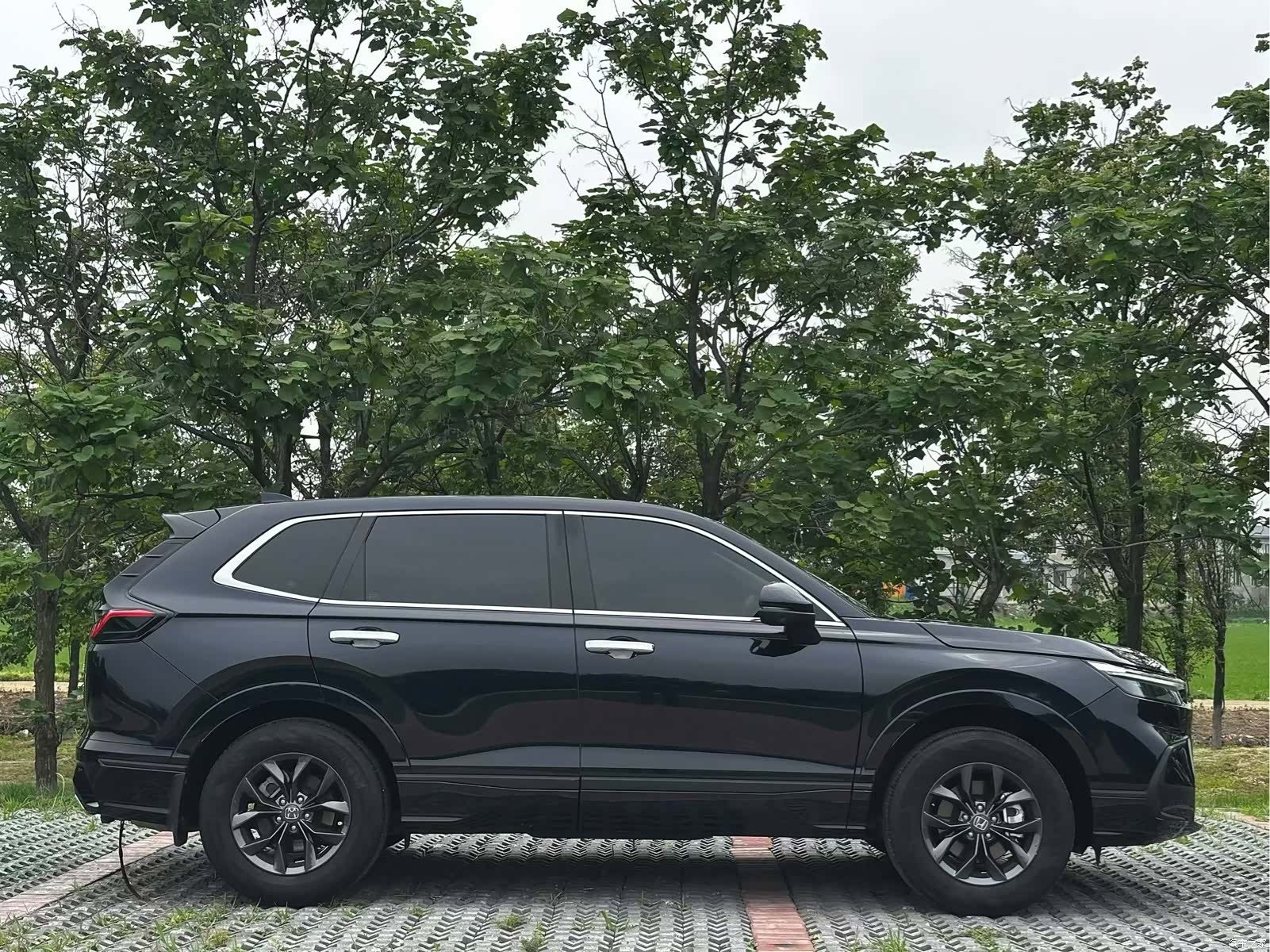 Honda Breeze, 2025 4