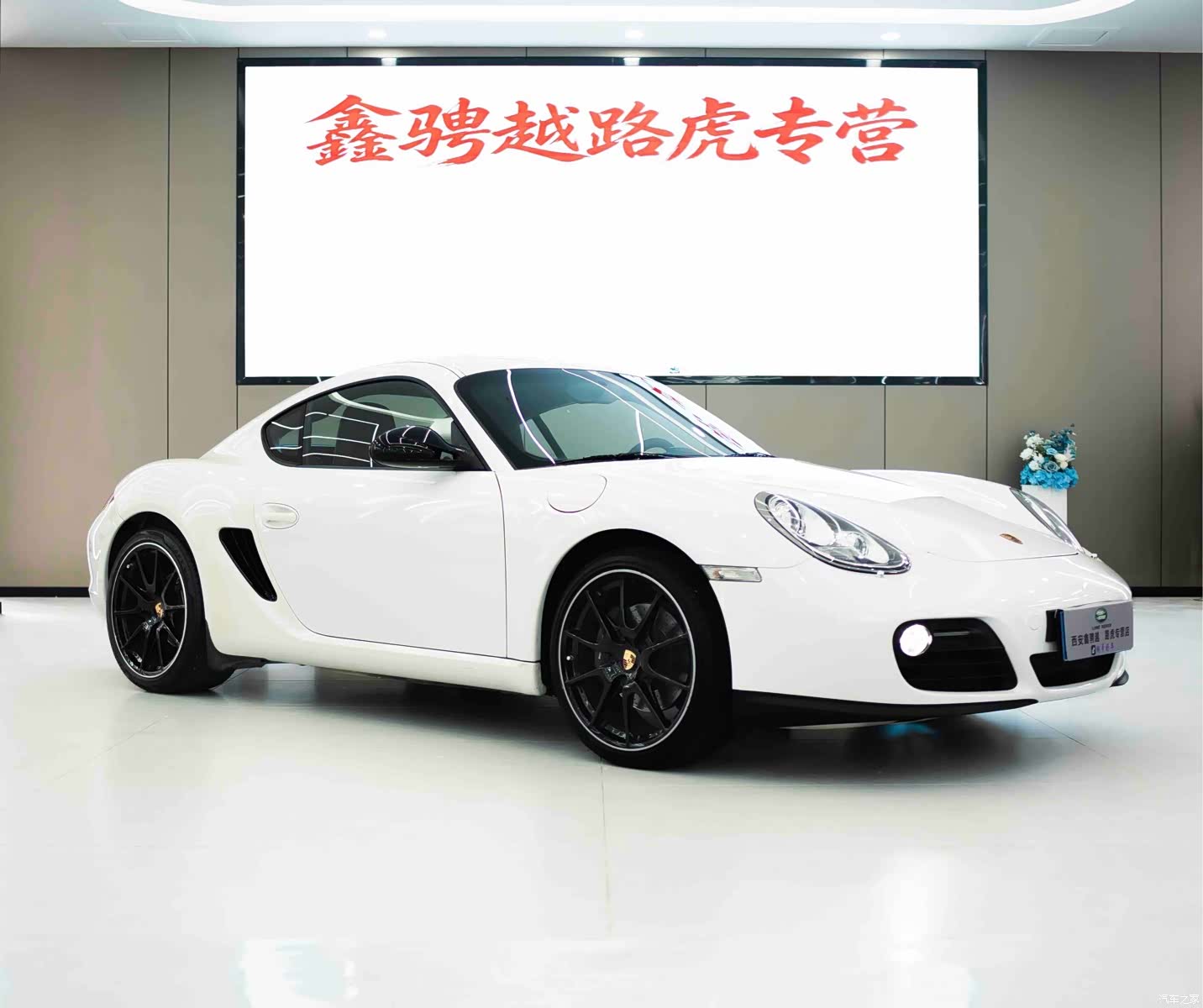 Porsche Cayman, 2012 3