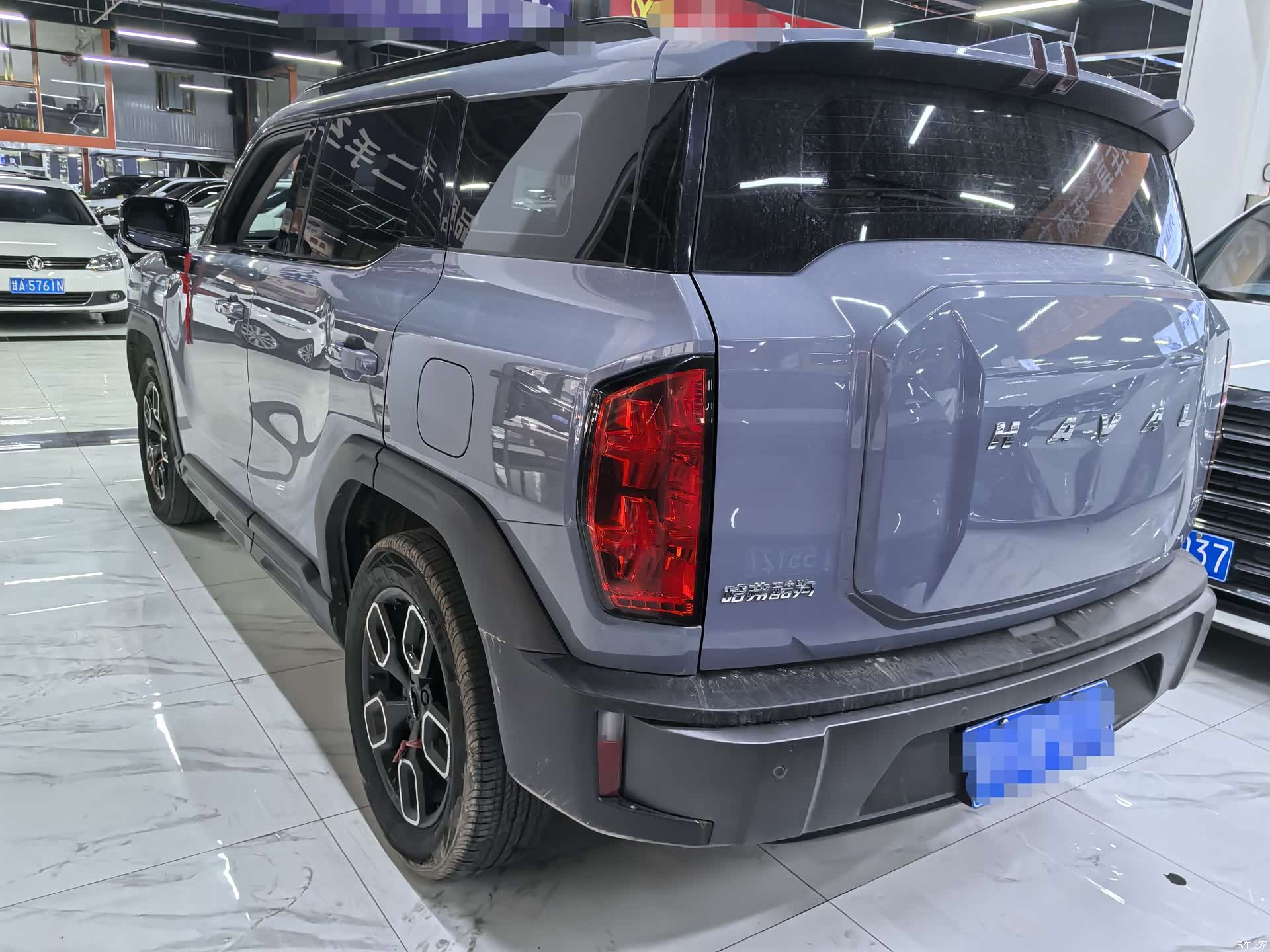 Haval Cool Dog, 2023 4