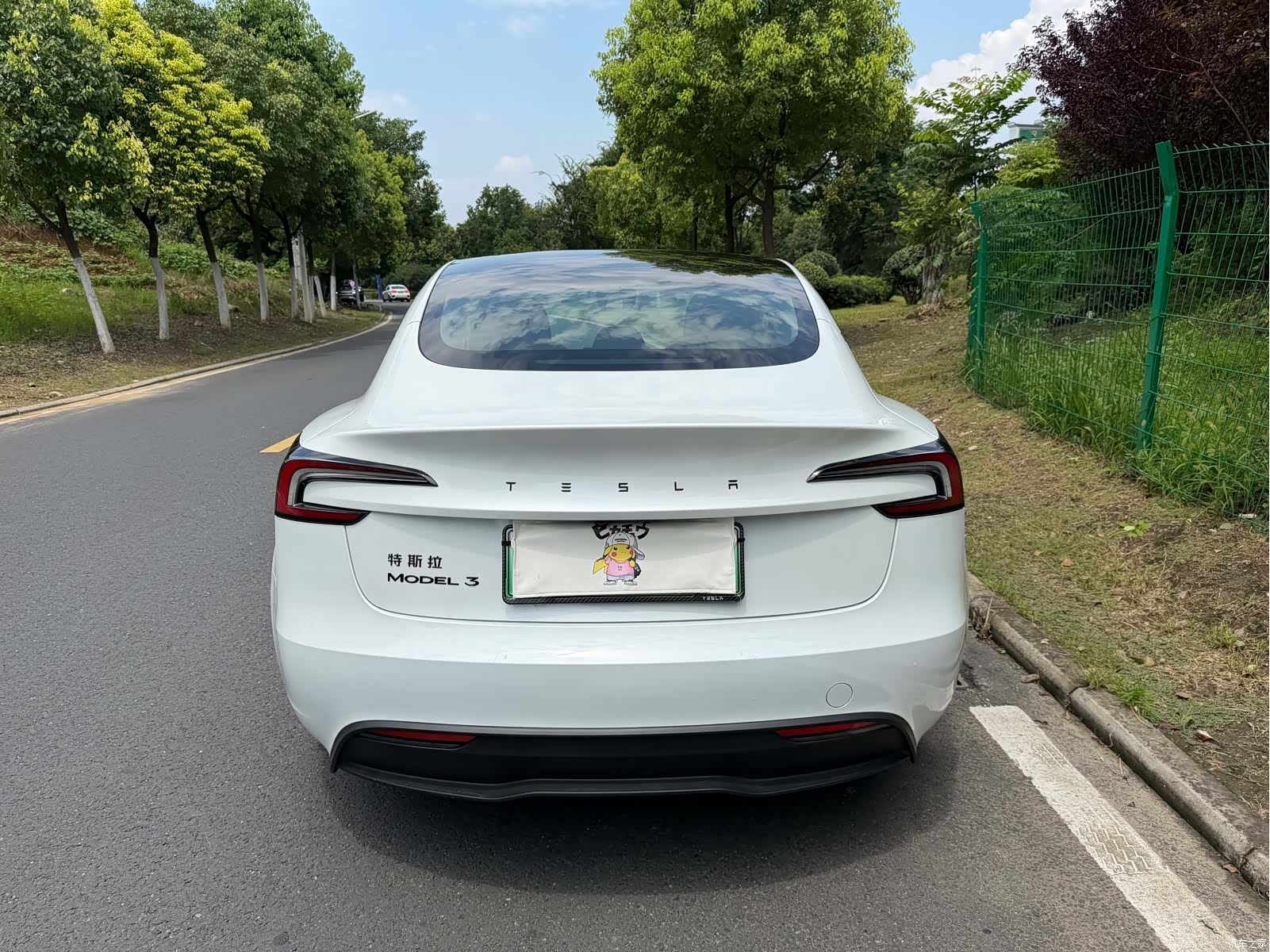 Tesla Model 3, 2026 14