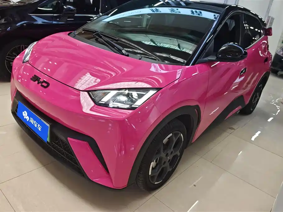 BYD Seagull