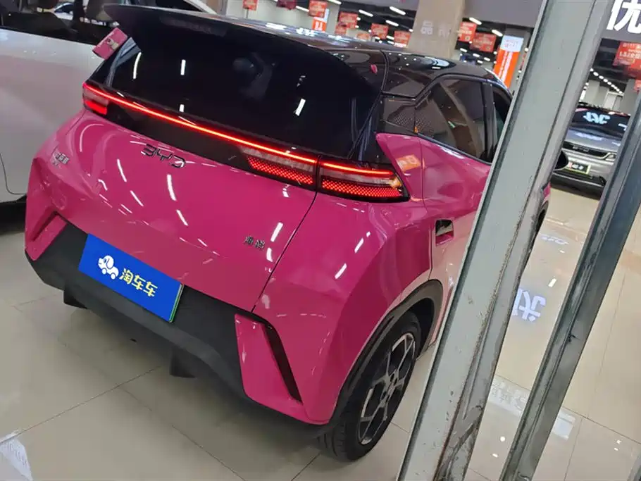 BYD Seagull
