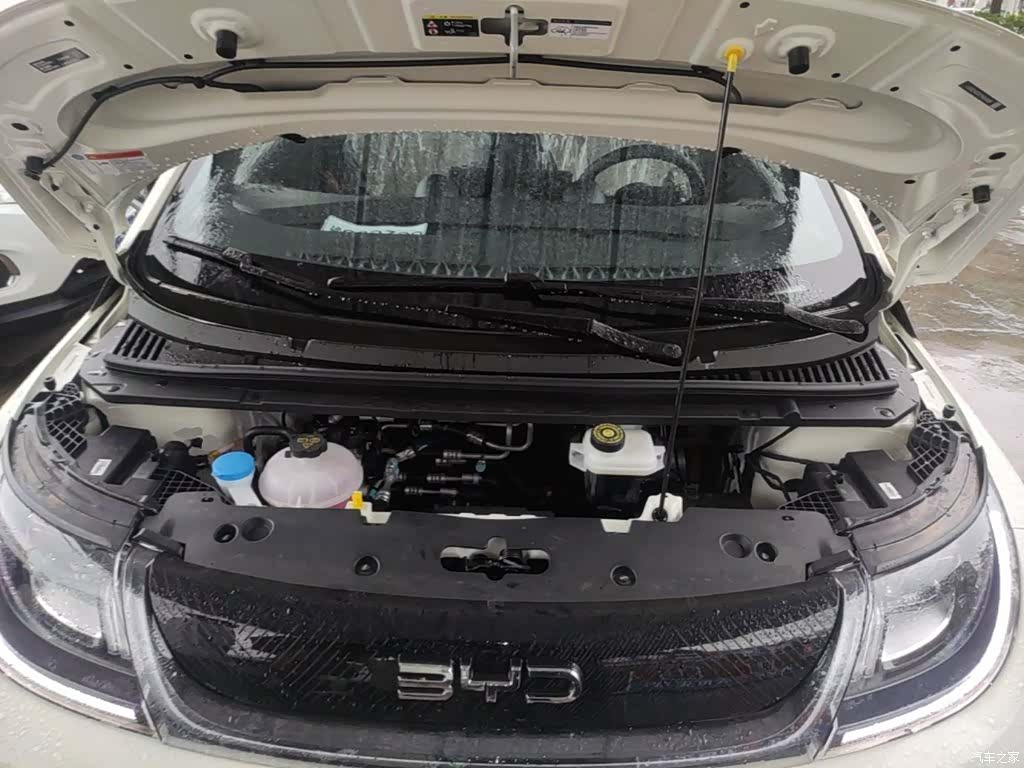 BYD Dolphin, 2026 20