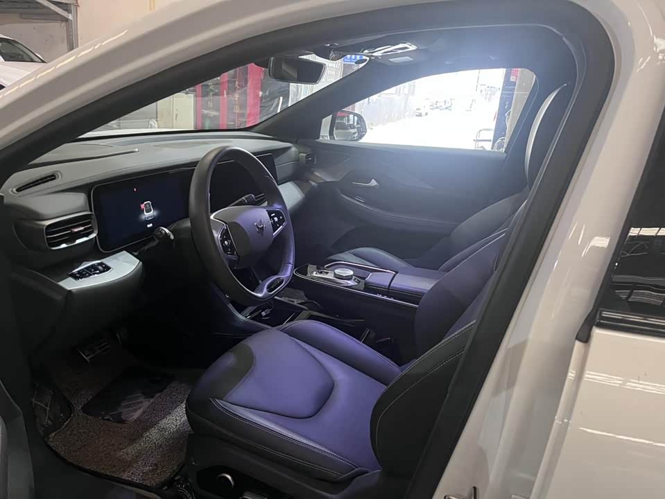 ARCFOX Polar Fox Alpha S