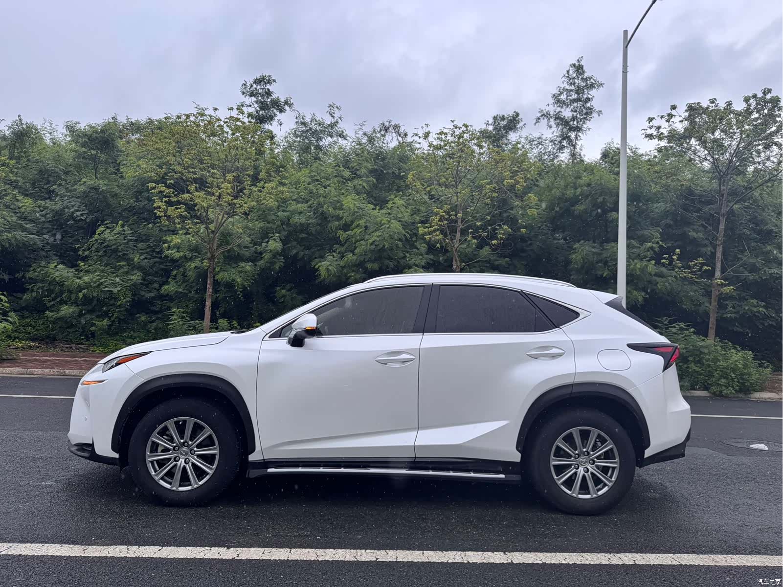 Lexus NX, 2016 все фото