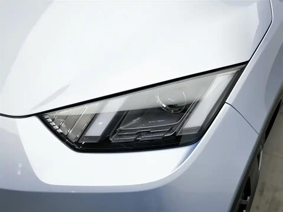 BYD Seagull