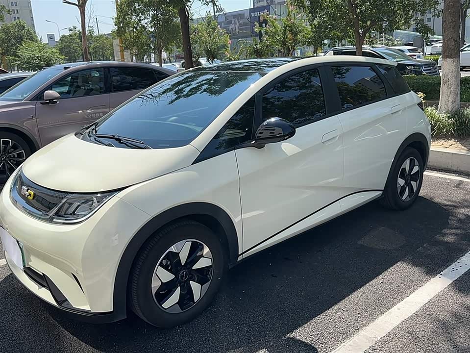 BYD dolphin