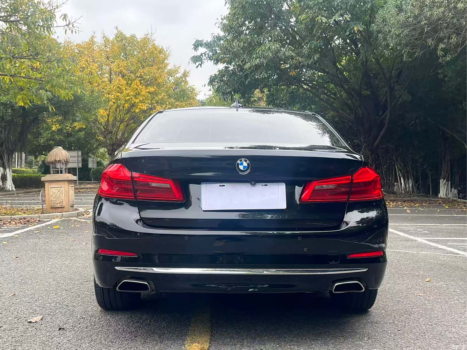 BMW 5 Series, 2018 8