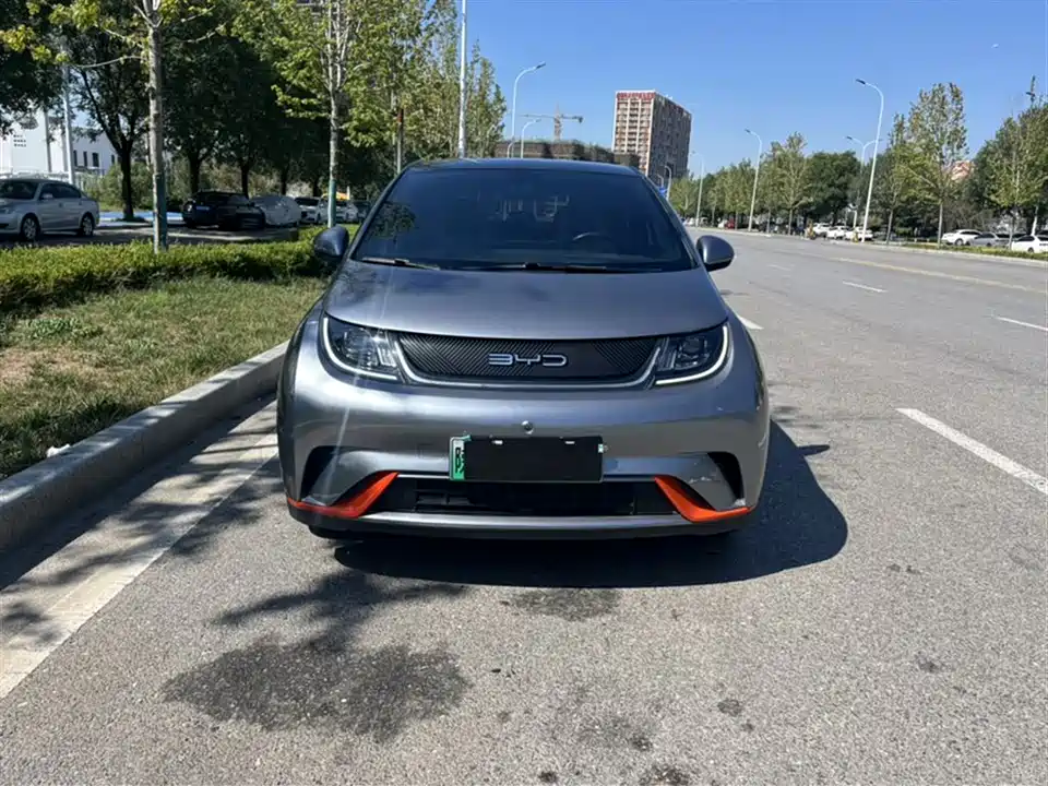 BYD dolphin